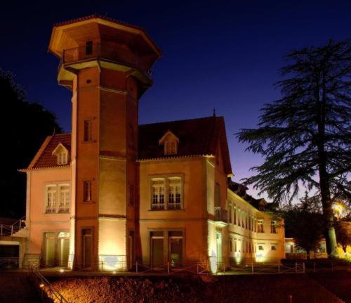 Palace Hotel & Spa - Termas De Sao Vicente Penafiel Exteriér fotografie