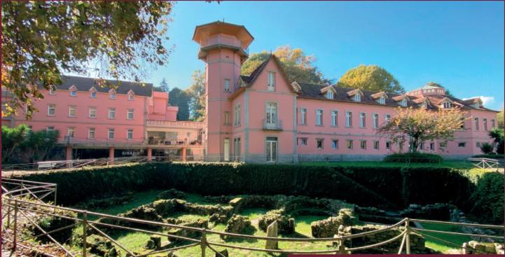 Palace Hotel & Spa - Termas De Sao Vicente Penafiel Exteriér fotografie